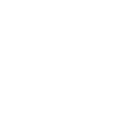 Data Consumption Icon