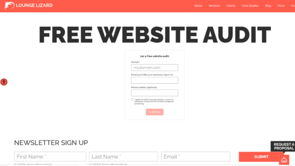 Loungelizard_websiteaudit